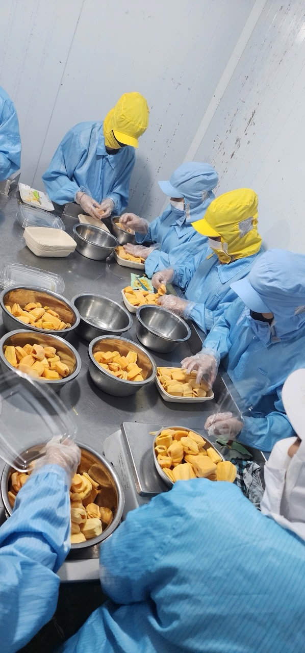 Jackfruit preparation and tray packing