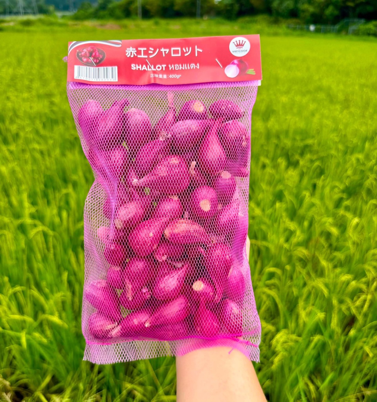 Hành tím / Shallots